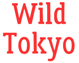 Προεπισκόπηση του Wild Tokyo Casino