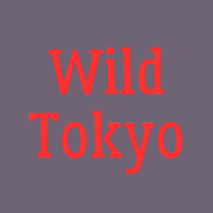 🎁 Wild Tokyo Casino 🎁